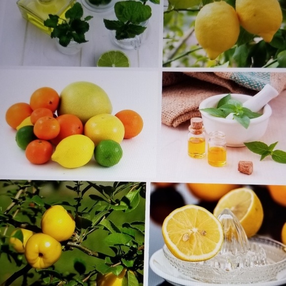 Lemon Meringue Hand Creme  -  Lotion - Handmade - Picture 3 of 6